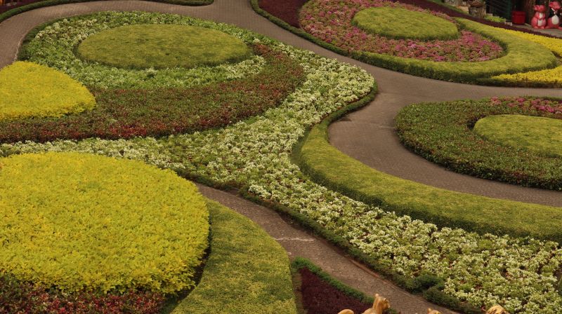 Hibiscus Landscape Design