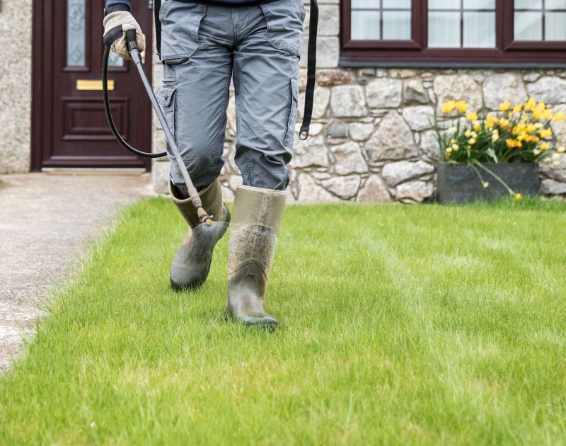 Professional Service Technician